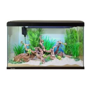 Fish Tank
