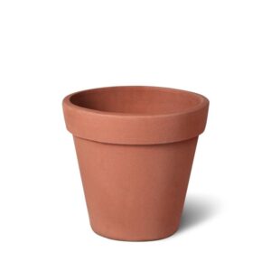 Plant Pot