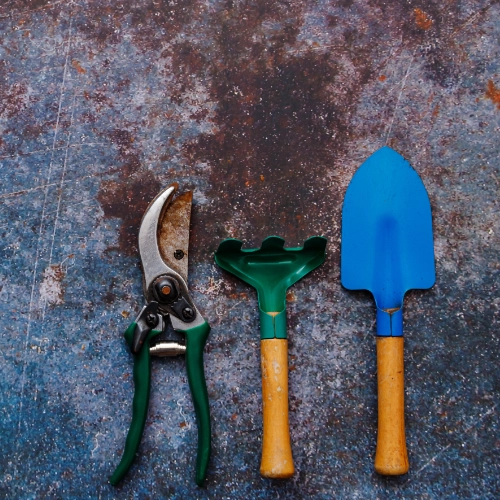 Garden Tools on Rustic Surface
