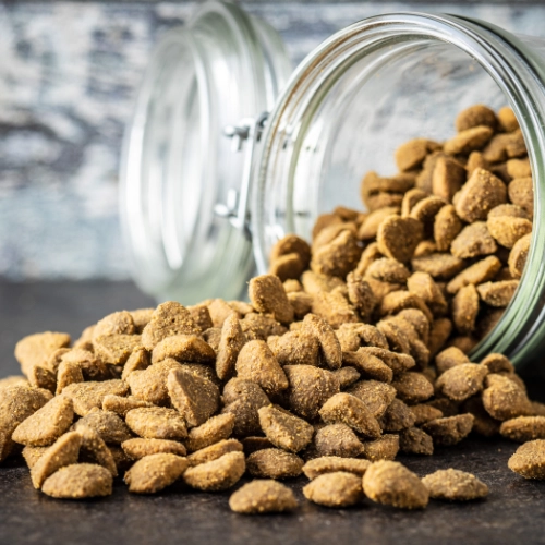 Dry pet food spilling from a glass jar