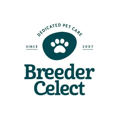 Eco-Friendly Litter for Happy Cats